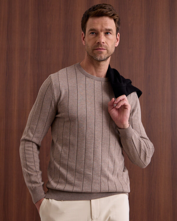 Mocha Line Textured Roundneck Sweater