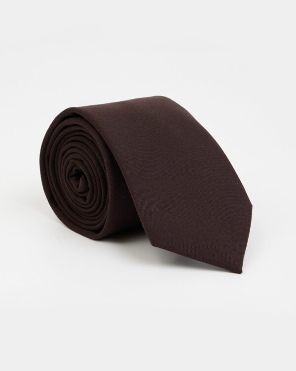 Brown Modern Elegance Tie
