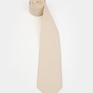 Light Beige Elegant Tie