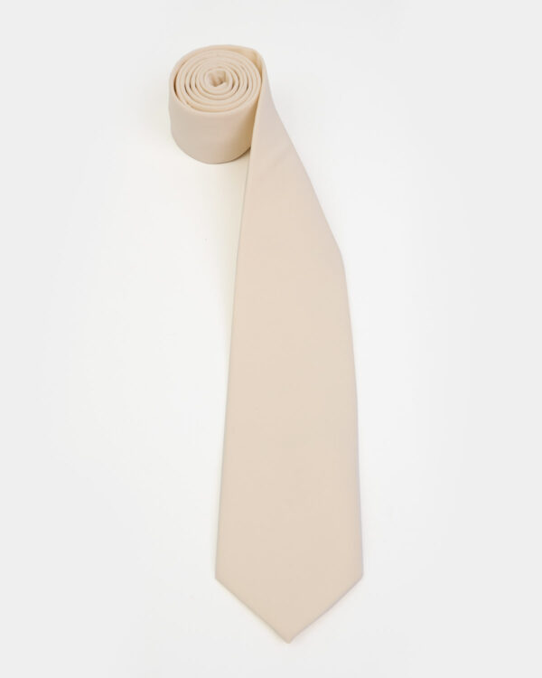 Light Beige Elegant Tie